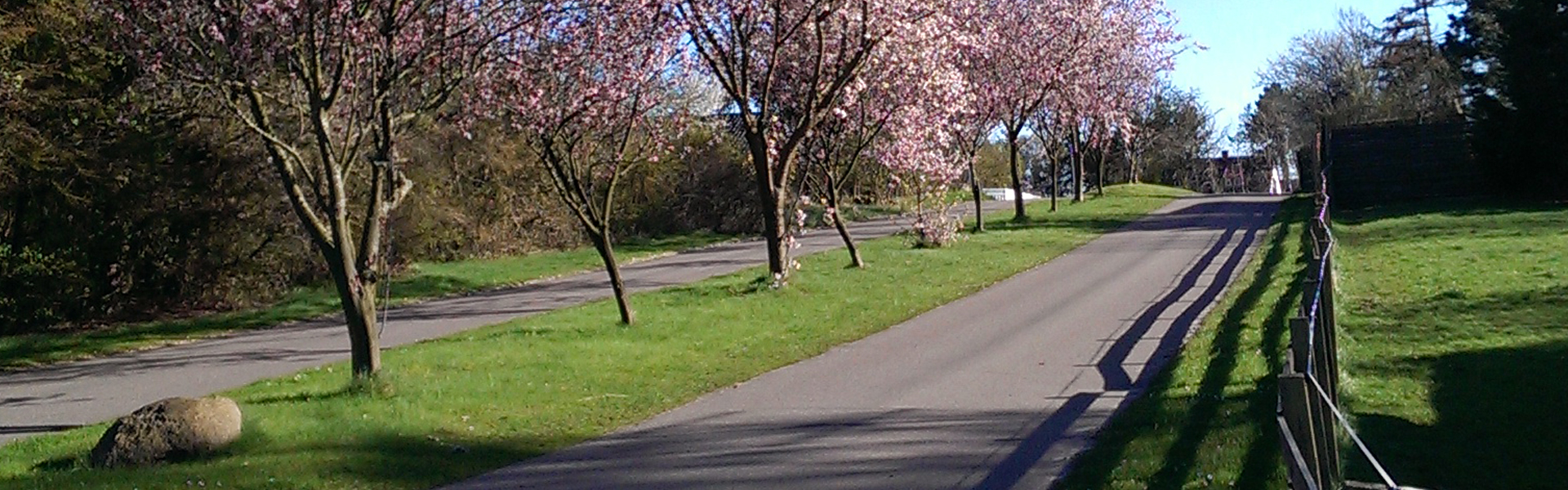 Grundejerforeningen Vibeholm